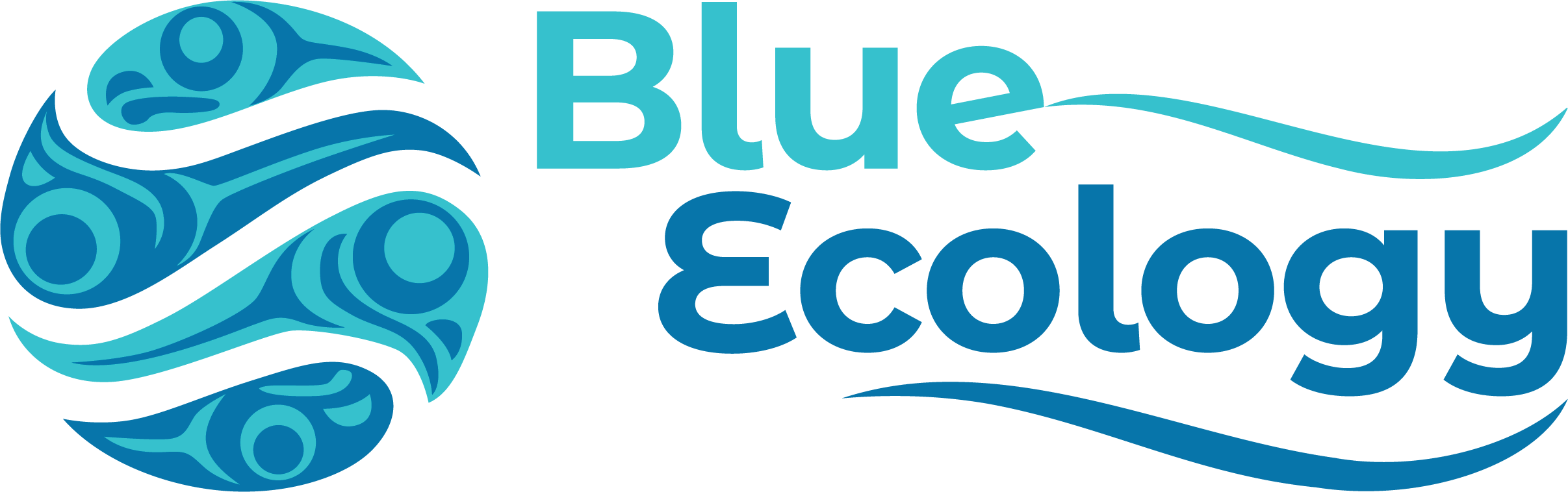 Blue Ecology Institute Foundation logo